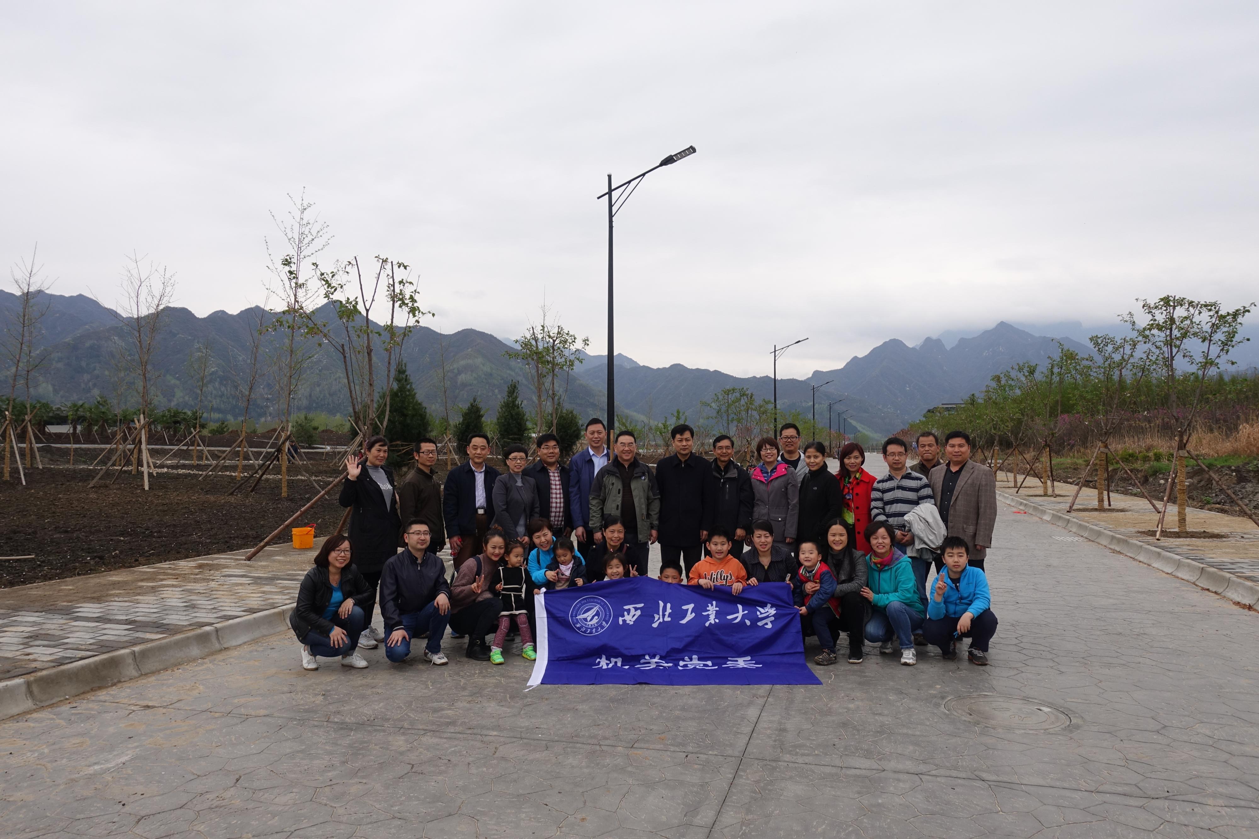 1491788692333_f4ff0862-feda-967e-53bd-4b4843cbfbc7.JPG DSC01175.JPG